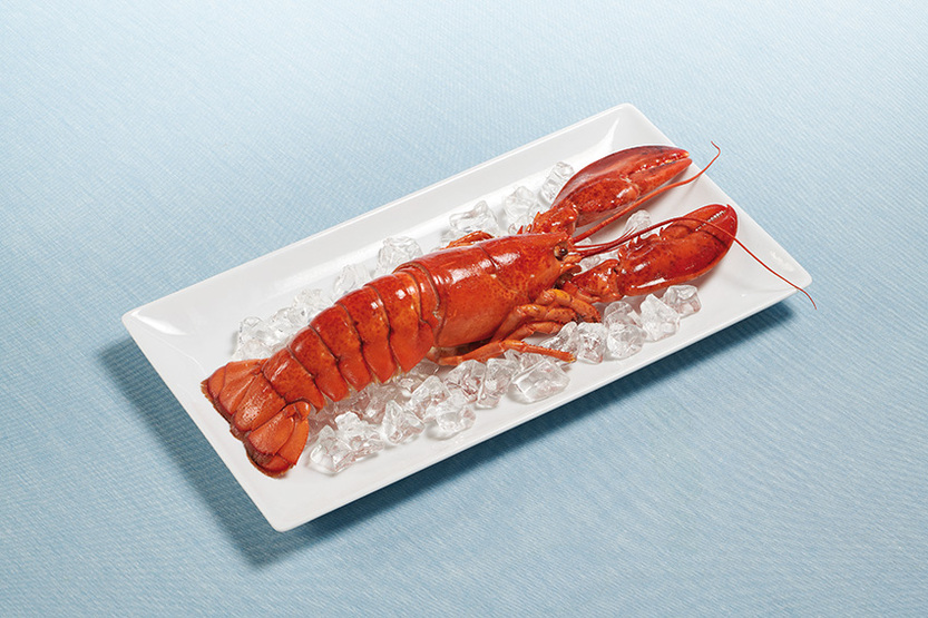 Homard canadien entier cuit MSC