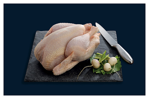 Poulet fermier d'Auvergne VF Label Rouge IGP