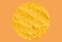 Sorbet abricot de France