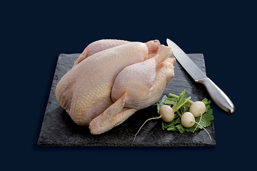 Witte hoevekip Ancenis Label Rouge