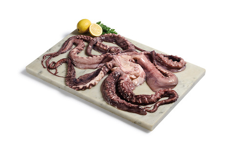 Tentacule d'encornet géant saumurée décongelée