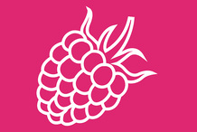 Sorbet framboise