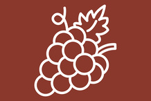 Crème glacée rhum-raisins