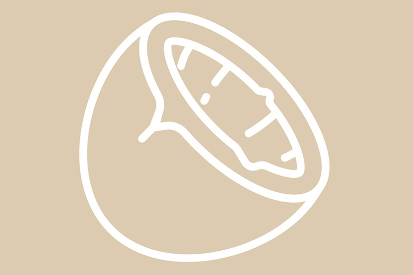 Roomijs kokosnoot en geraspte kokos