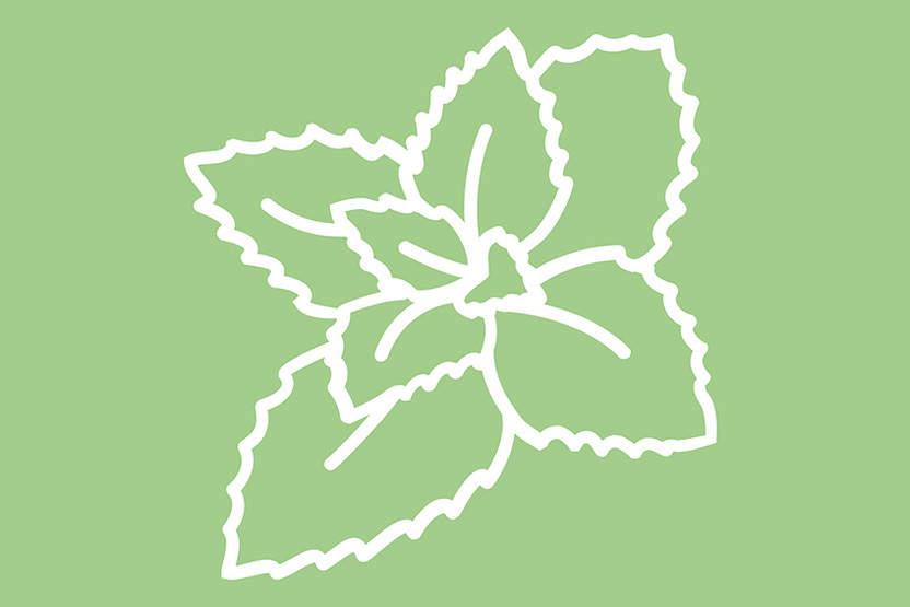 Crème glacée menthe-chocolat