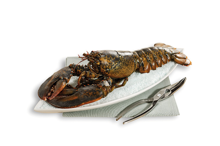 Homard canadien entier