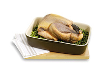 Pintade VF