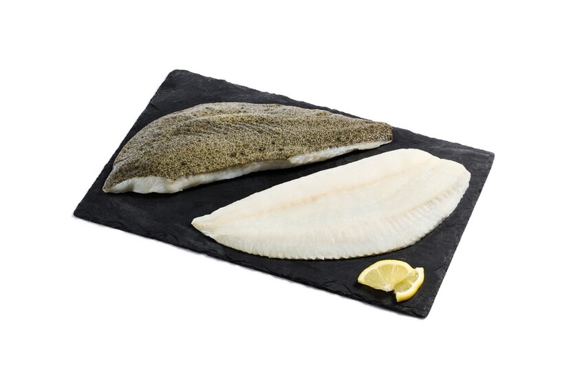 Filet de turbot