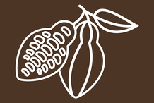 Crème glacée chocolat Crème glacée chocolat