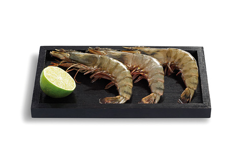 Crevette Black Tiger entière crue