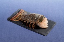 Queue de langouste crue 8/10 oz