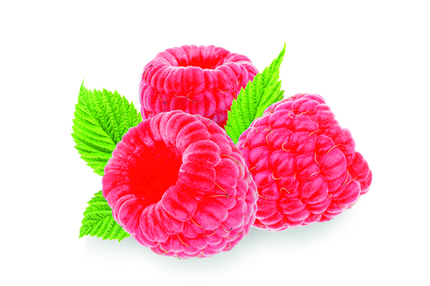 Sorbet framboise