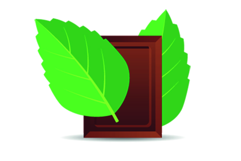 Crème glacée menthe-chocolat