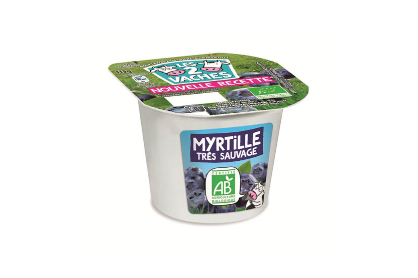 Yoghurt met bosbessensmaak BIO