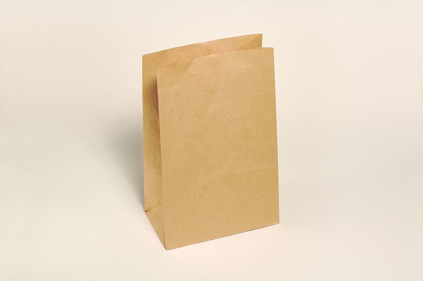 Sac kraft sans anse