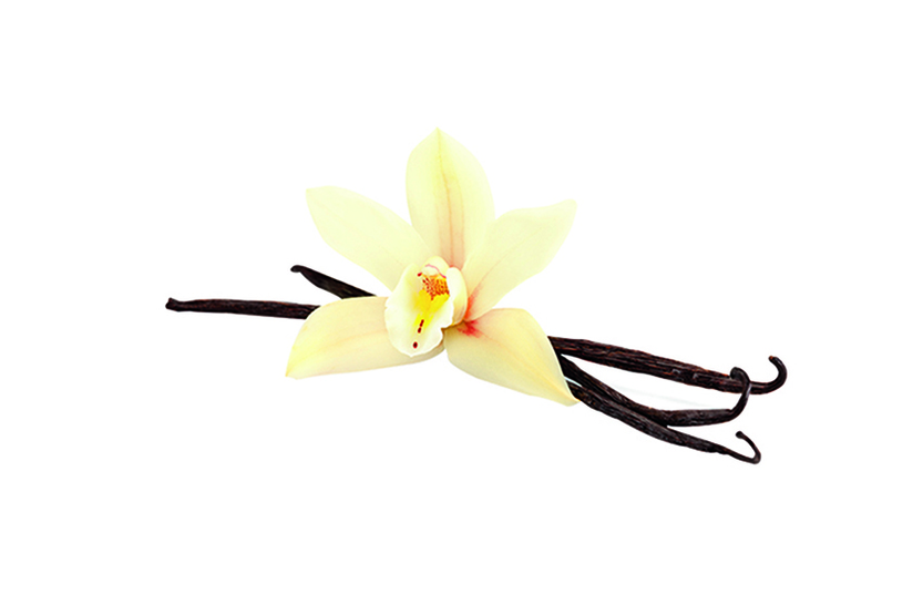 Crème glacée vanille bourbon de Madagascar