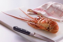 Langouste entière cuite Tristan da Cunha MSC