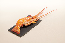 Langouste tropicale entière cuite